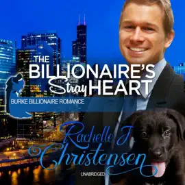 The Billionaire’s Stray Heart (The Burke Billionaire Romance Series)