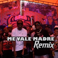 Me vale madre (feat. Gran Memin) - Single - El Make No Hay Truco