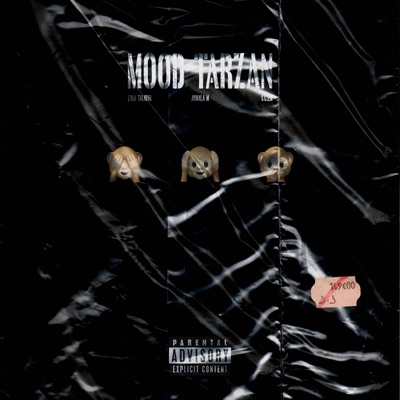 Mood Tarzan (feat. Ayma La M & Evan Talibvn) - Single