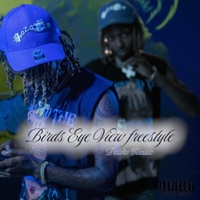 Birds Eye View Freestyle - Single - Paidro Classic