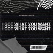 I Got What You Want (feat. Leslie Powell & Kali J) artwork