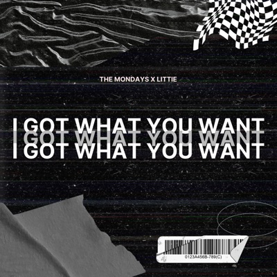 I Got What You Want (feat. Leslie Powell & Kali J) - Single
