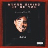 Never Giving up on You (feat. GaTa) - Single