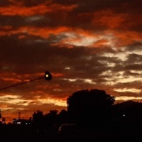 Heart Strings - Single - Pharm0