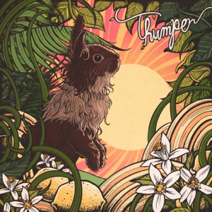 Thumper - Single