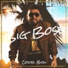 Big Boss - Single