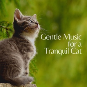 Gentle Music for a Tranquil Cat