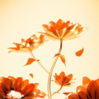 Flower - Single - MaRa & Kosy