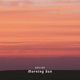 Morning Sun Single
