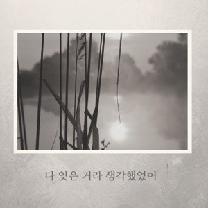 다 잊은 거라 생각했었어 (feat. 서동우)