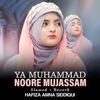 Ya Muhammad Noore Mujassam Lofi - Single