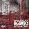 Ngwino cover art