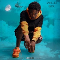 WILD6IX - EP - Youngebs