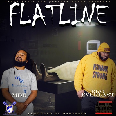 Flatline (feat. Bro Everlast) - Single