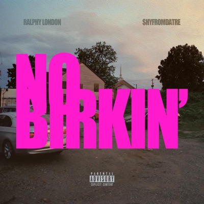 No Birkin' (feat. $hyfromdatre) - Single
