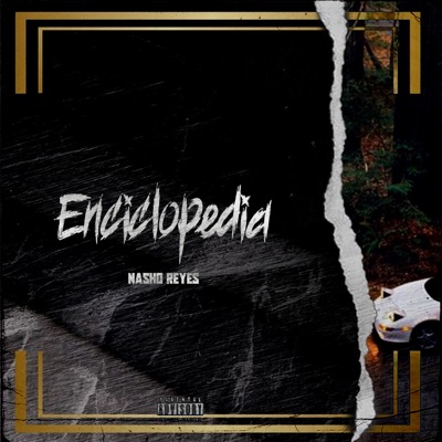 Enciclopedia - Single