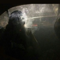 lying (feat. BLANK) - Single - yarn