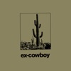 ex-cowboy