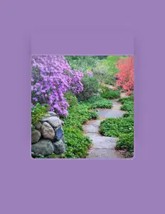 聆聽 Alejandra Sheppard、觀看音樂影片、閱讀小傳、查看巡演日期等！