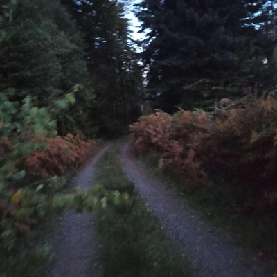 SheLeft - Memoir #02 (feat. May Roosevelt) [slowed]