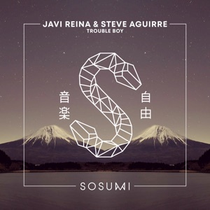 Trouble Boy - Single