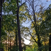 What Feels Like a Past Life - Single - HEADTOOLOUD