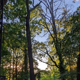 What Feels Like a Past Life HEADTOOLOUD