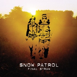 FINAL STRAW cover art