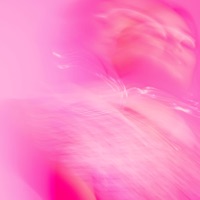 tenerte pa' mí - Single - TRECE MALA SUERT