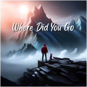 Where Did You Go - Single