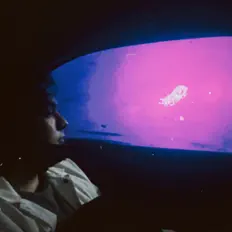 Listen to Francisco Ercole, watch music videos, read bio, see tour dates & more!