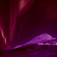 COMING FOR YO ASS (Extra Remixes) - Single - HotSotin