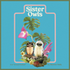 Monster Rally - Sister Owls  arte