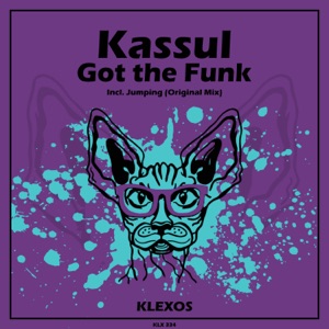 Got the Funk - Single