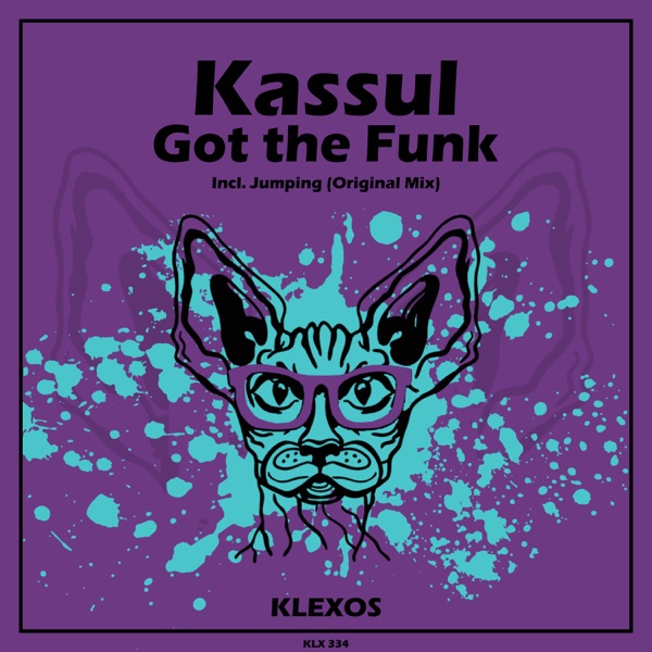 Got the Funk - Single