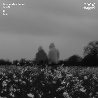 le nom des fleurs / fin - Single