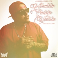 Shoulda Coulda Woulda (feat. Infinite TGM) - Single - JokesLovesLife