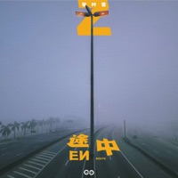 途中 - Single - Leafy Zhang