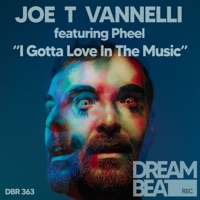 I Gotta Love In the Music (feat. Pheel Balliana) - Single - Joe T. Vannelli