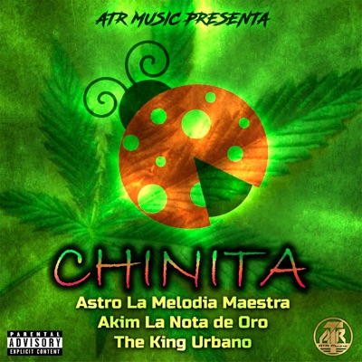 Chinita (feat. Akim la Nota de Oro & El King Urbano) - Single