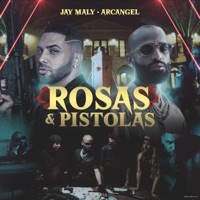 Rosas y Pistolas - Single - Jay Maly & Arcángel