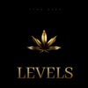 Levels - Single