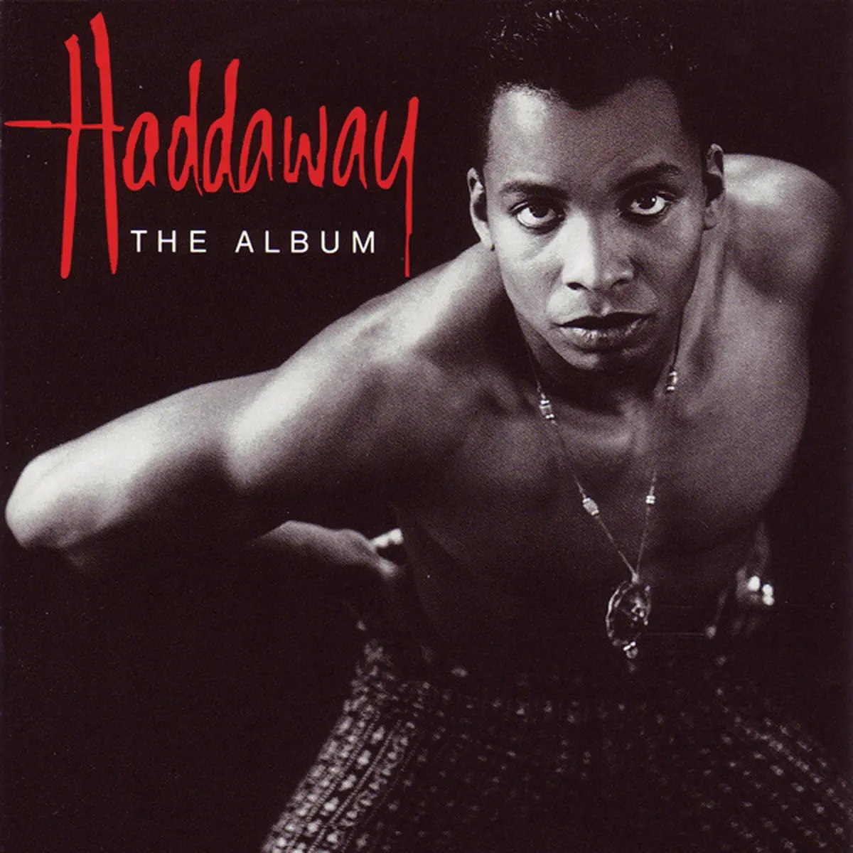 Haddaway - The Album (1993) [iTunes Plus AAC M4A]-新房子