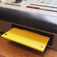 Do You Do What You Love? - Single - Dirty Hairy