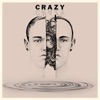 Crazy (feat. Enkay47) [The Division Version] - Single