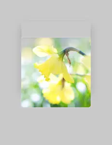 Ariana Pateを聴いたり、ミュージックビデオを鑑賞したり、経歴やツアー日程などを確認したりしましょう！