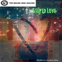 Stupid Love (RMN & JusJez Remix) - Single - The Brand New Heavies