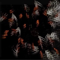 2:40 AM (feat. W!NTER) - Single - FvckBaylee