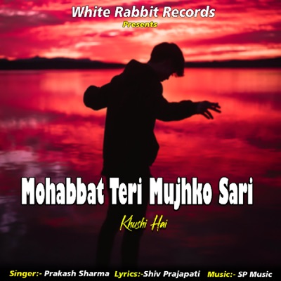 Mohabbat Teri Mujhko Sari Khushi Hai - Single
