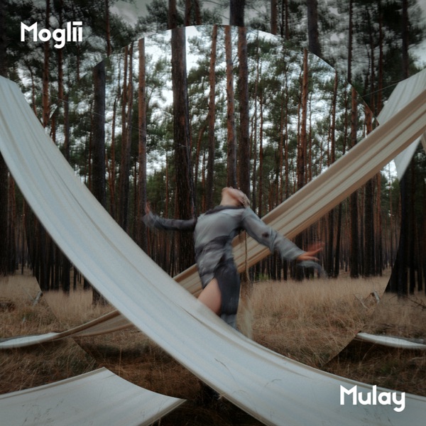 Hidden in the Mist - Single
